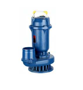 WQ / D small sewage pump D model