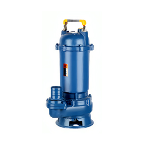 WQ / D small sewage pump B model
