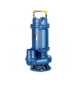 WQ / D small sewage pump A model